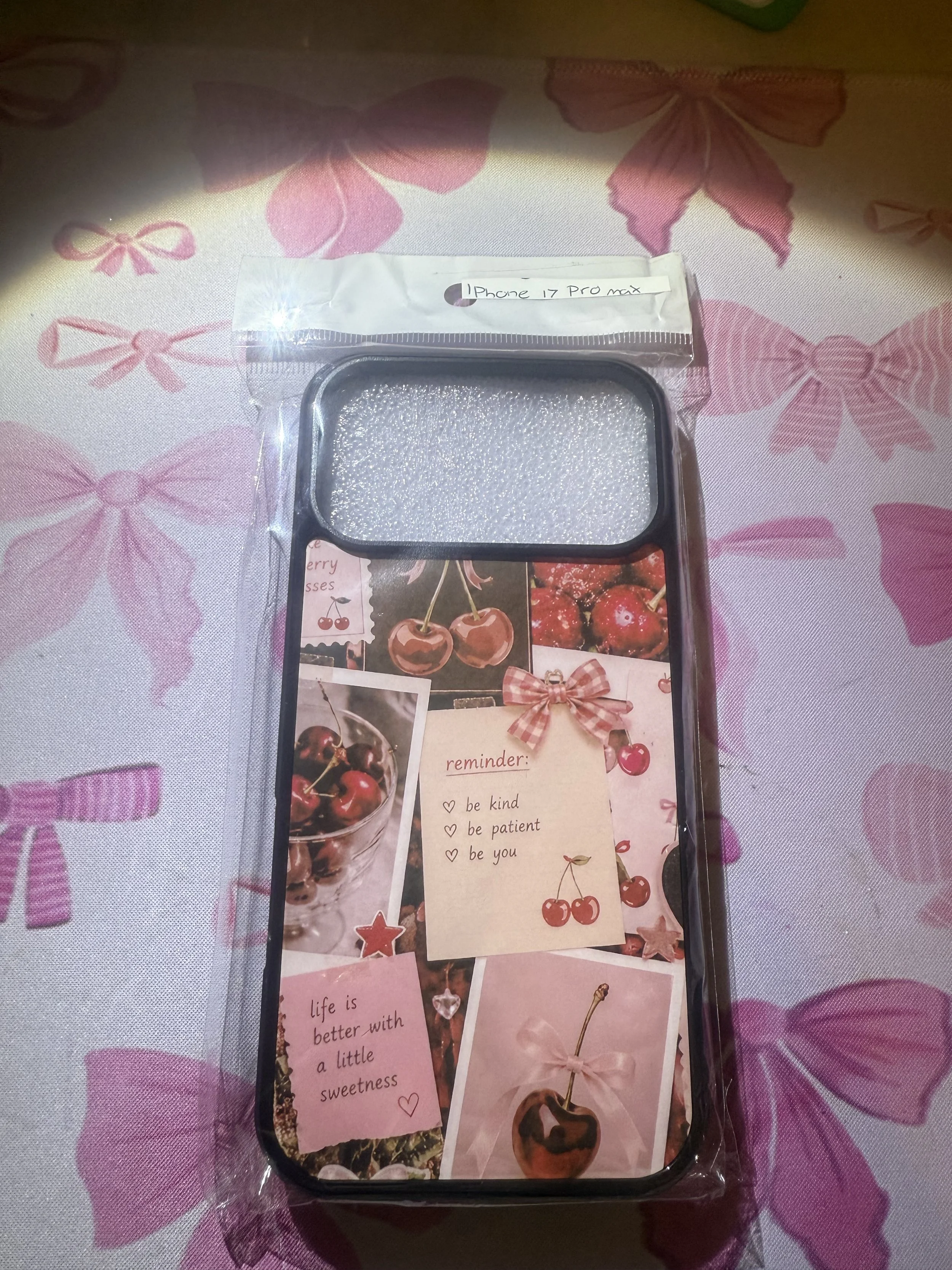 Mag safe iPhone 17 pro max case