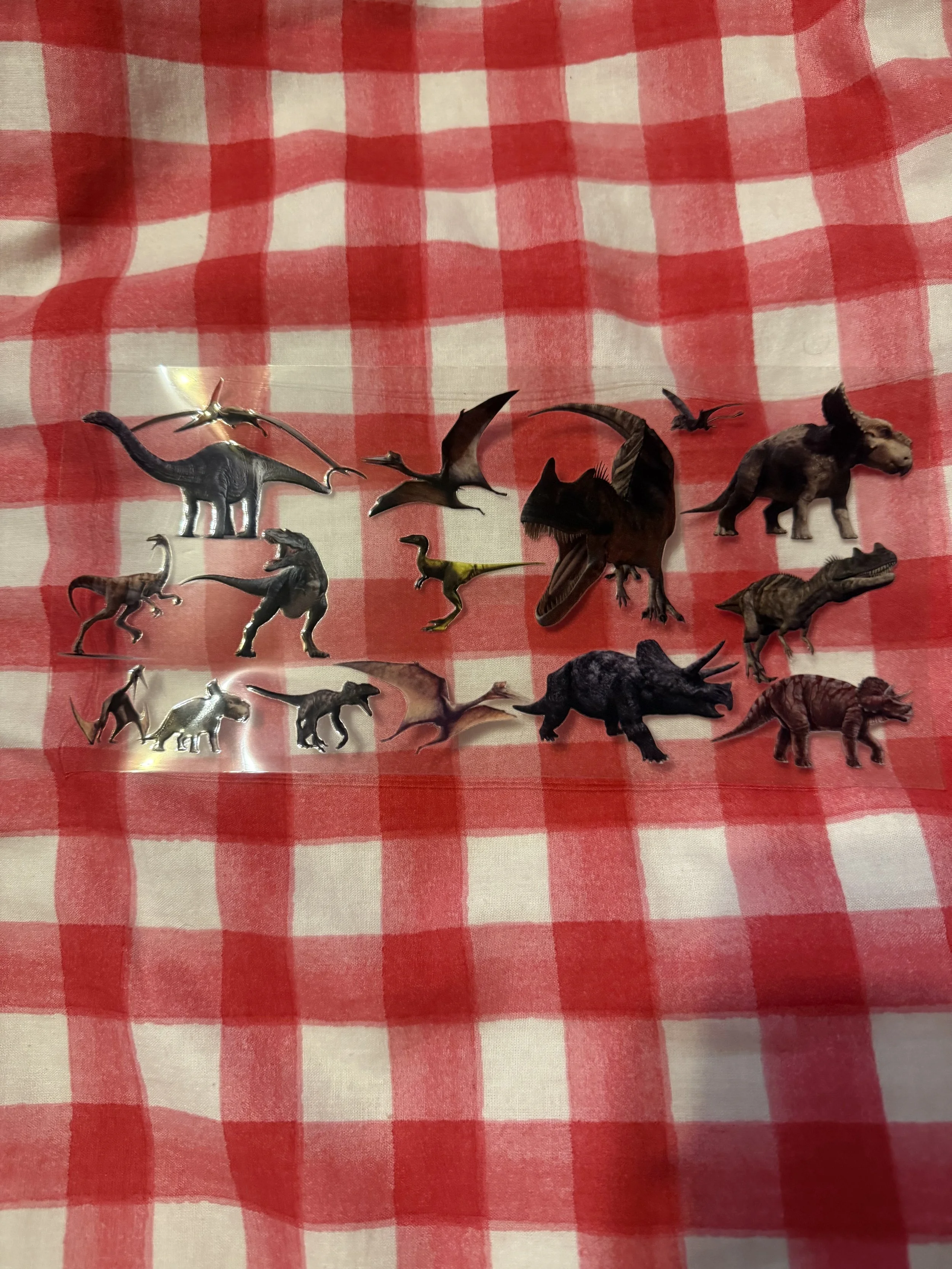 Dinosaur Wrap