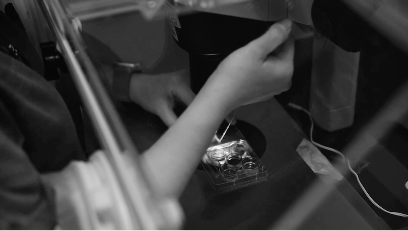 Screenshot 2025-08-26 at 5.58.45 am.png