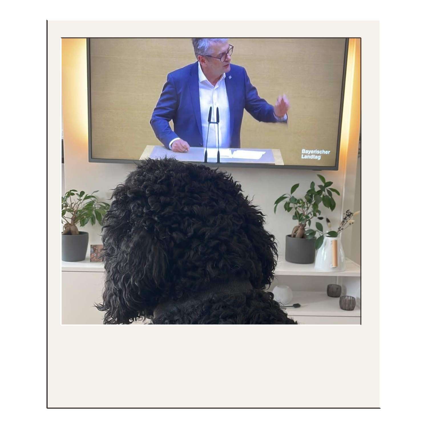 Martin Scharf_im Landtag_Linus.png