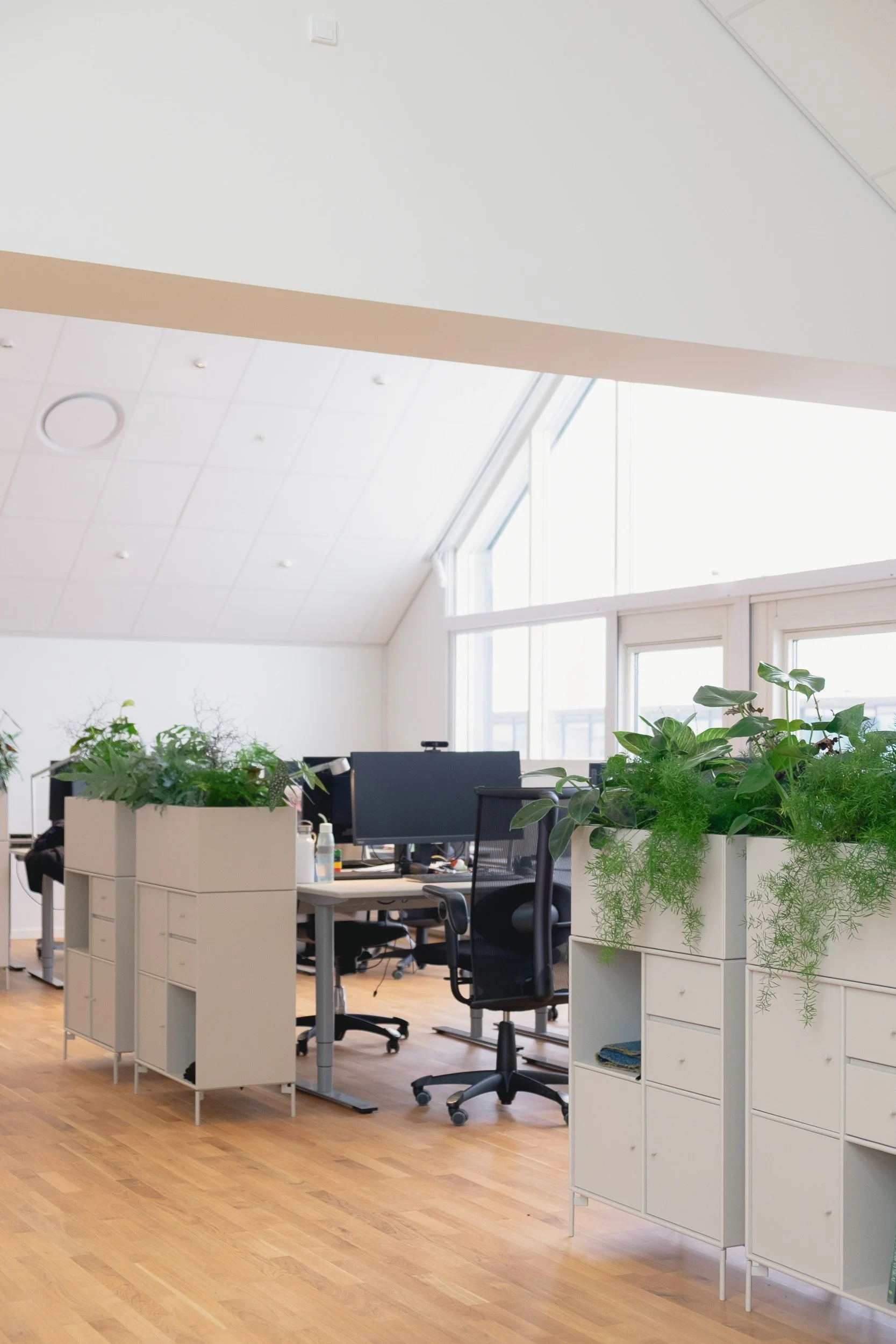 signal-arkitekter-fiansforbundet-workplace-design-office-2-3.jpg