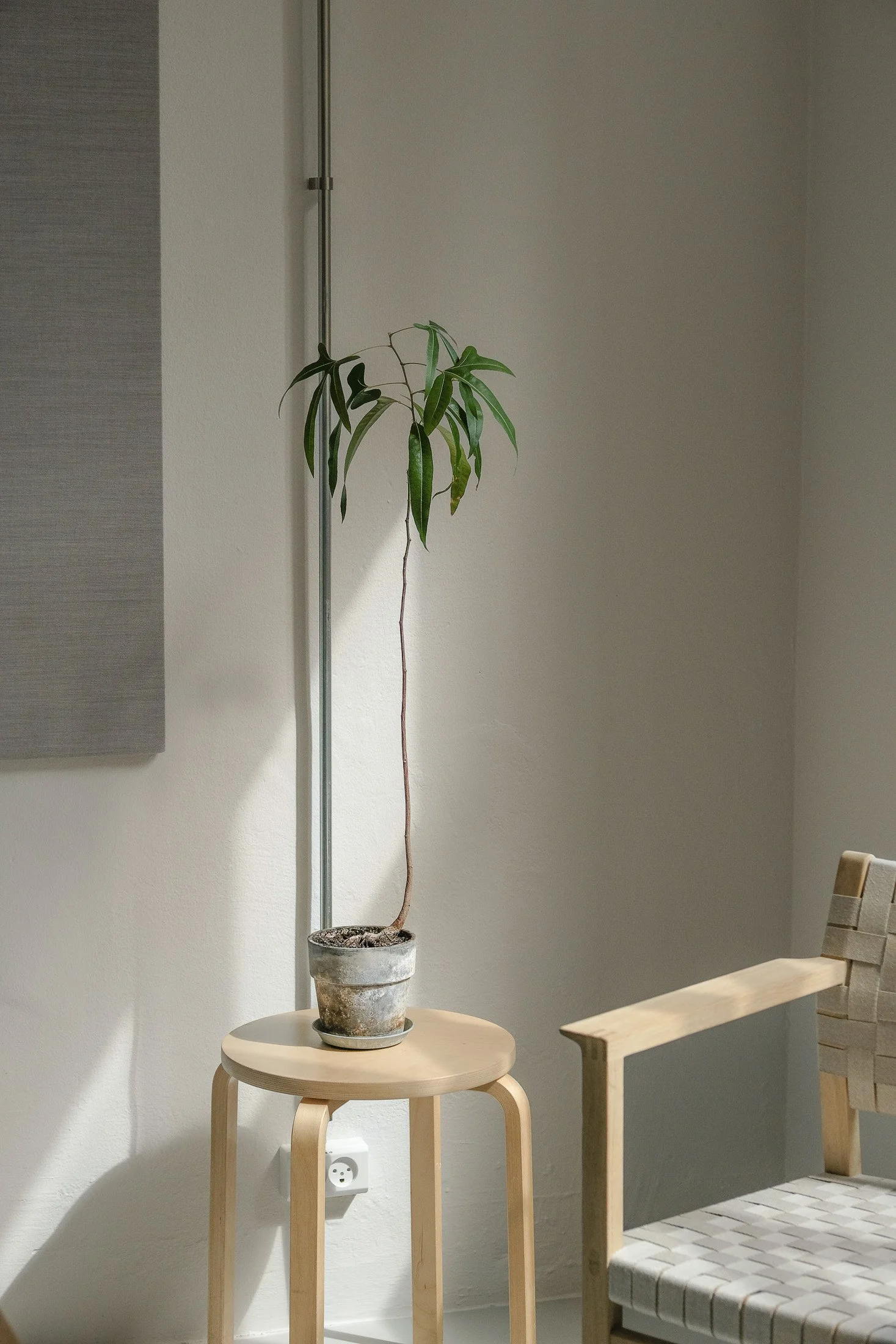 signal-arkitekter-office-interior-web-7195.jpg