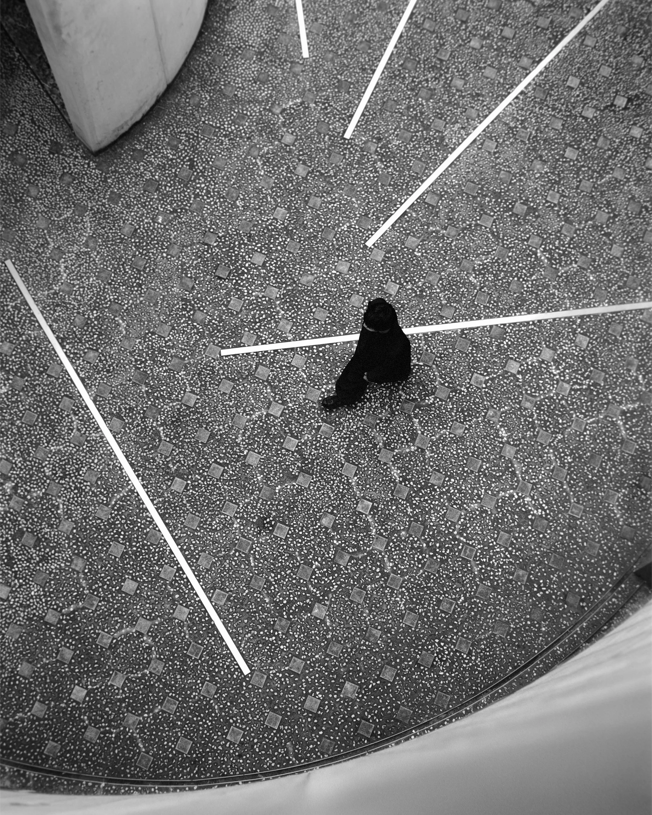 [FABRICA]NB509_GreyDays_Stills_Highres_10.jpg