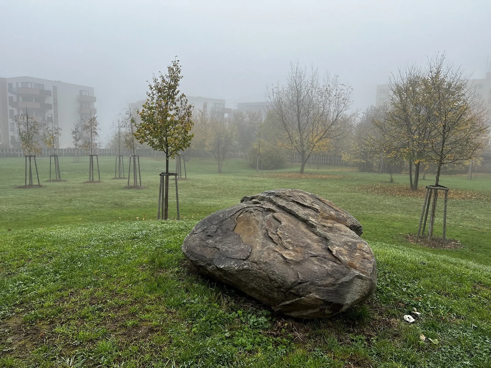 Les vzpomínek Olomouc - Neředín