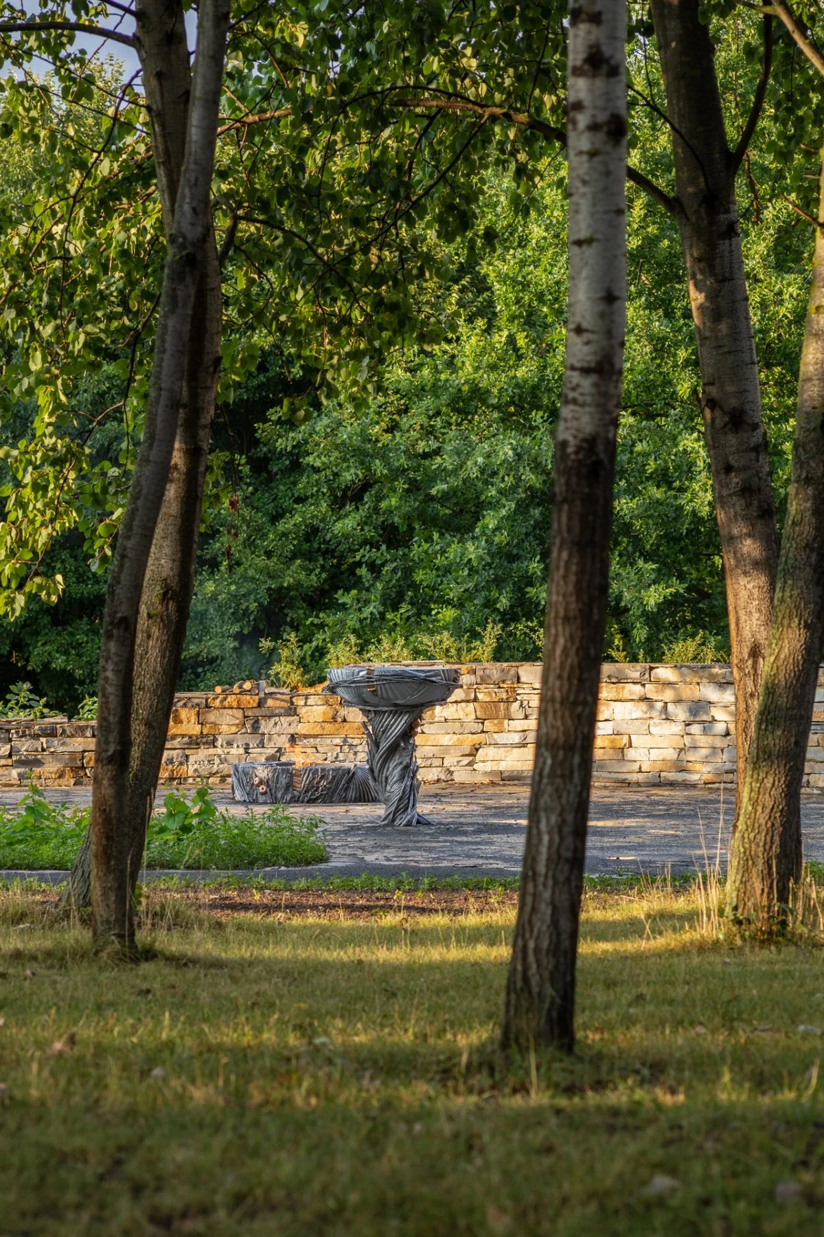 Les vzpomínek Olomouc - Neředín
