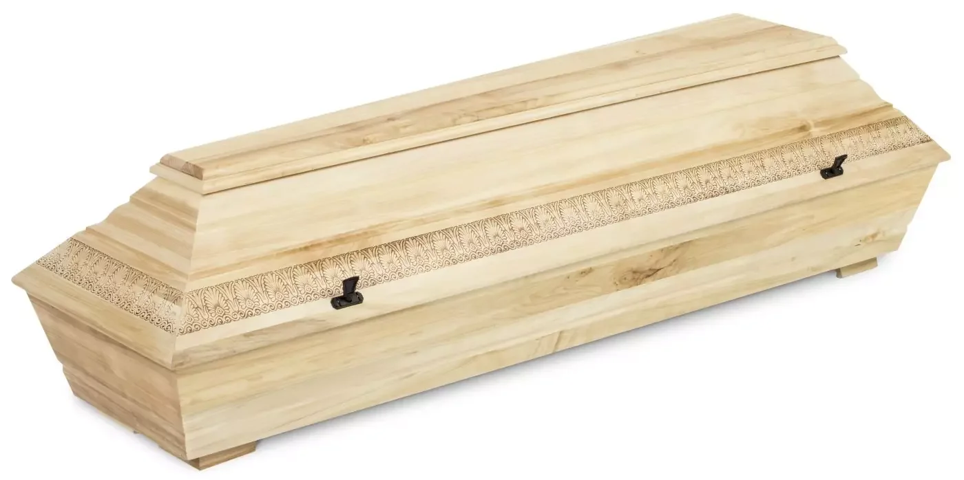 T4 GREEN LINE ECO.webp