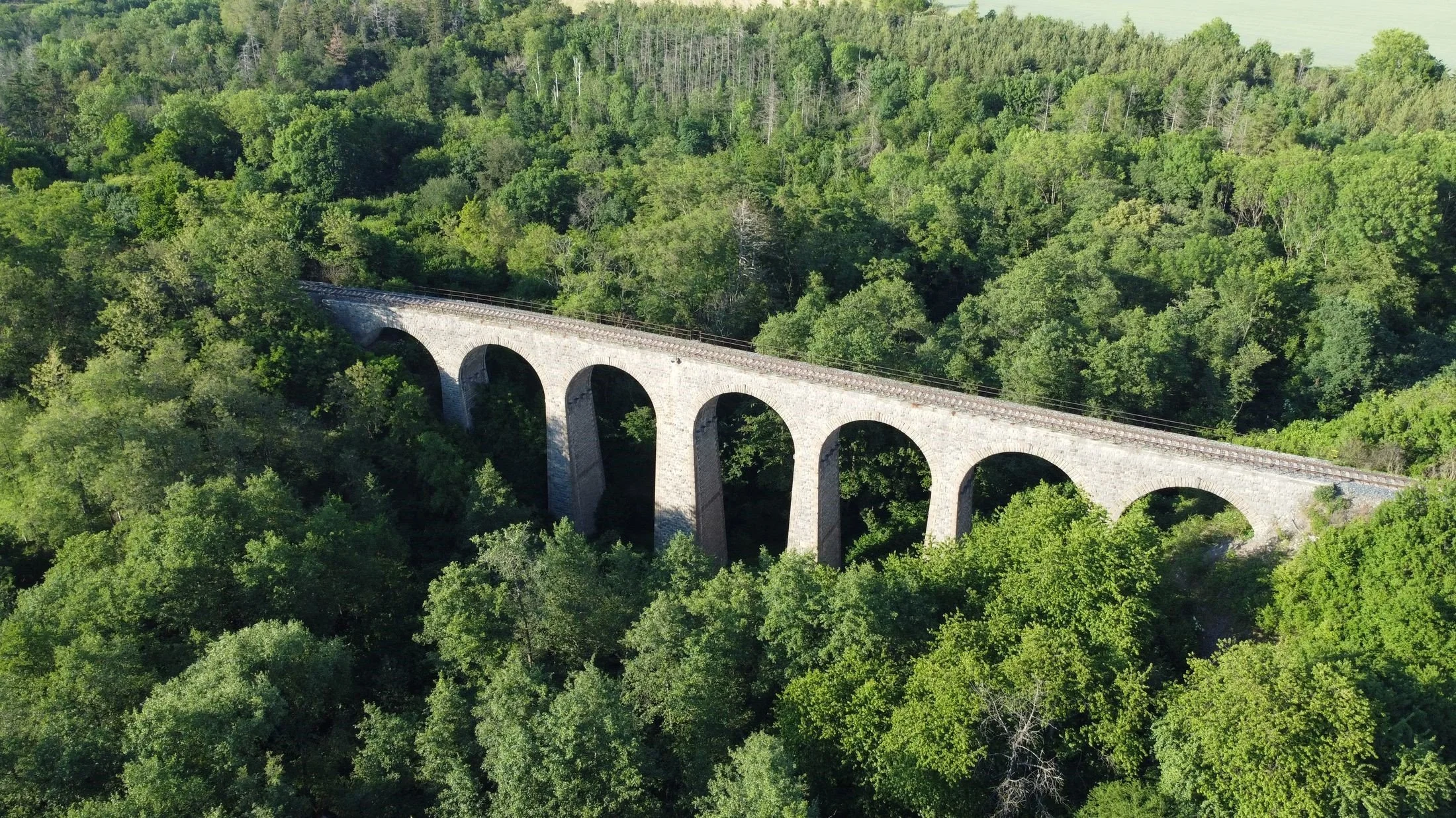 Lesní hřbitov Pohřebních průvodců Halštatské hradiště - viadukt v létě