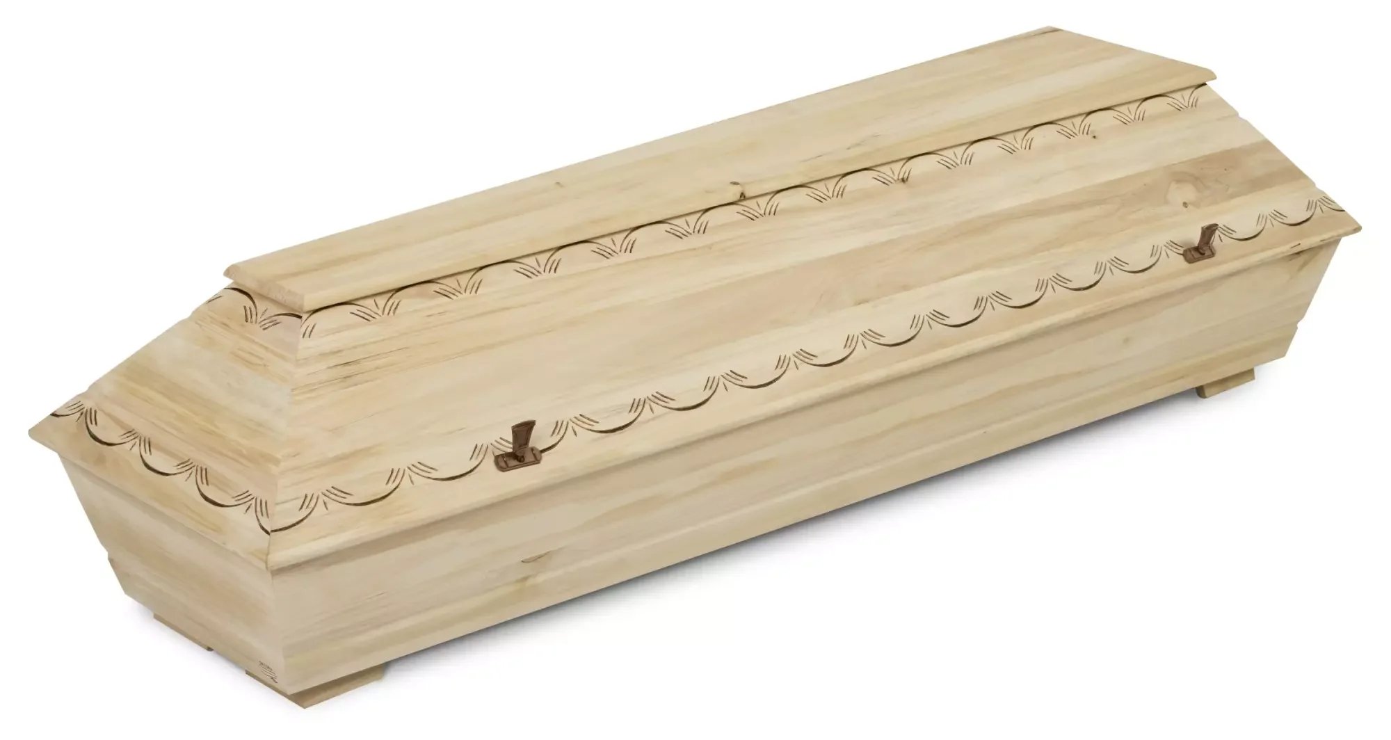 N1ST GREEN LINE ECO.webp