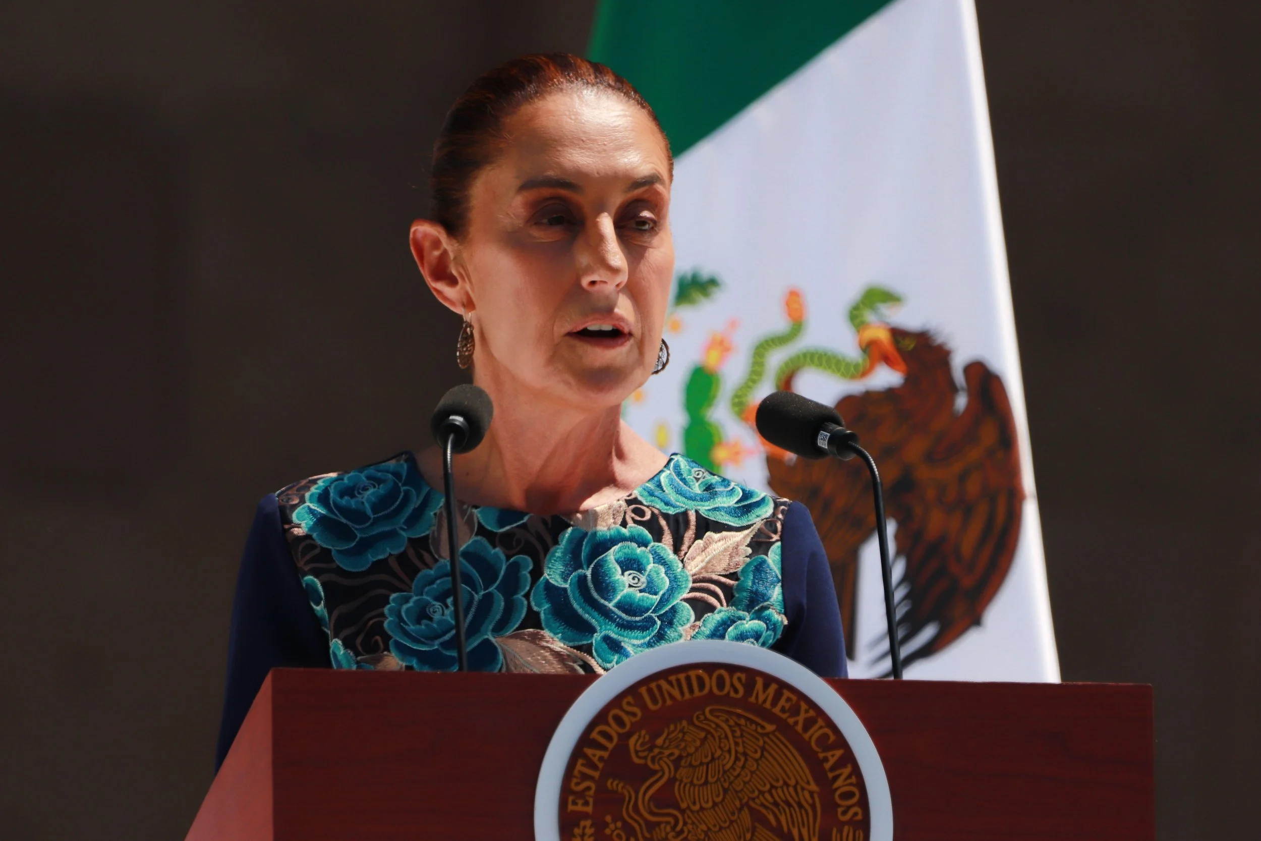 Mexican President Claudia Sheinbaum at a press conference.