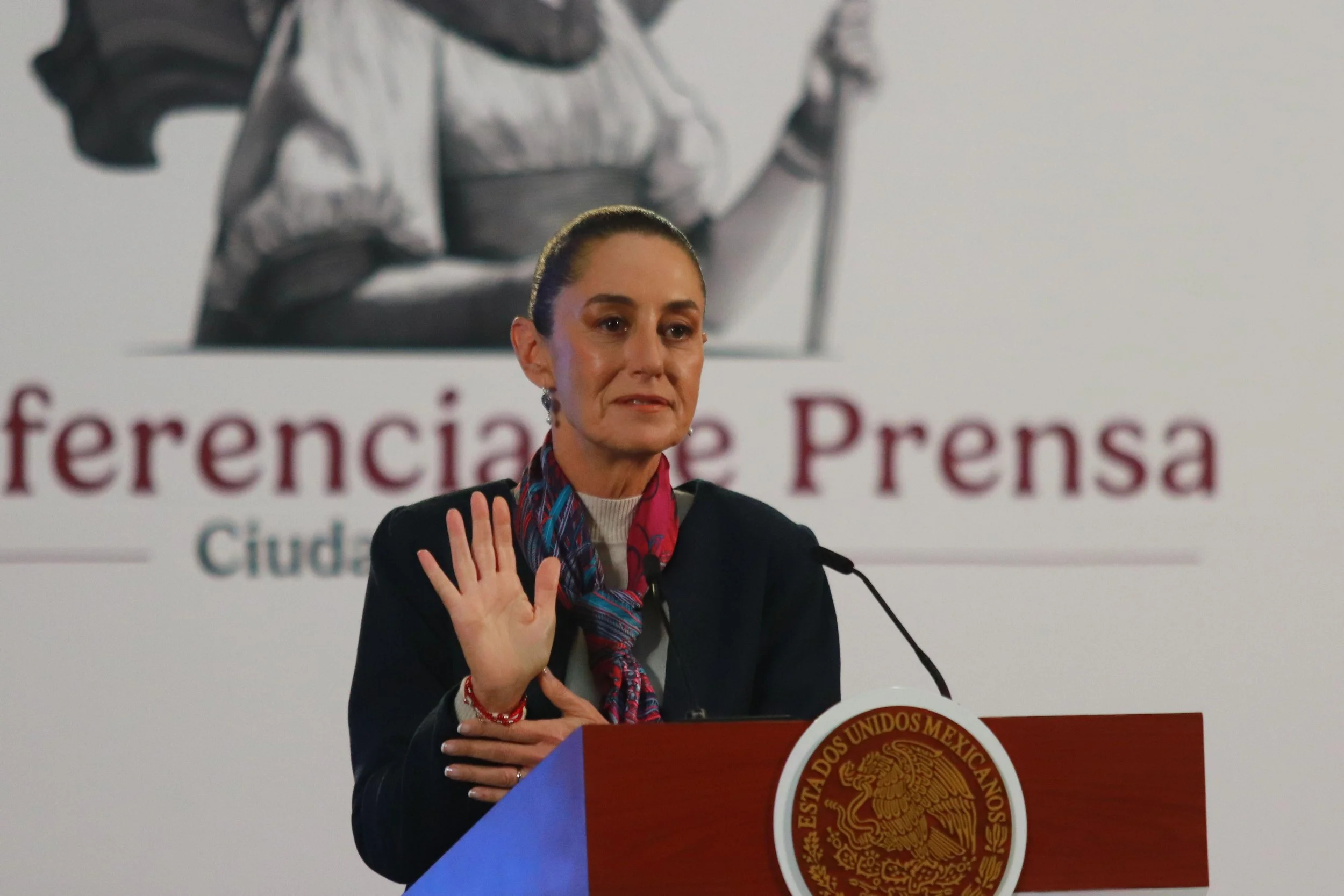 President of Mexico Claudia Sheinbaum, Mexico's politics