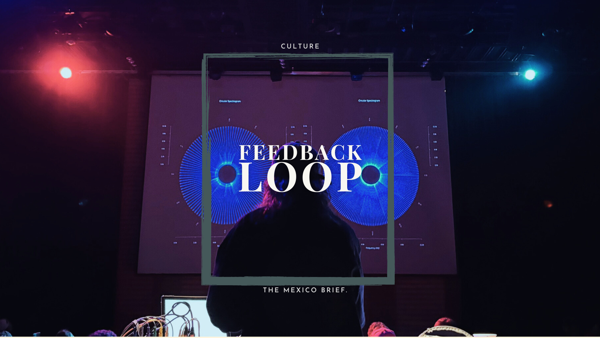 feedback loop web back.png