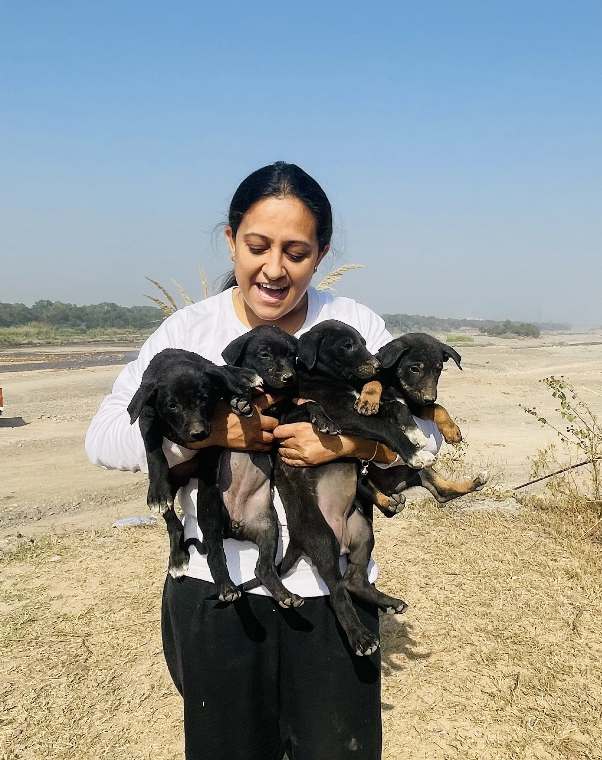 A woman holding four black and tan puppies outdoors on a dry, open landscape under a clear blue sky.