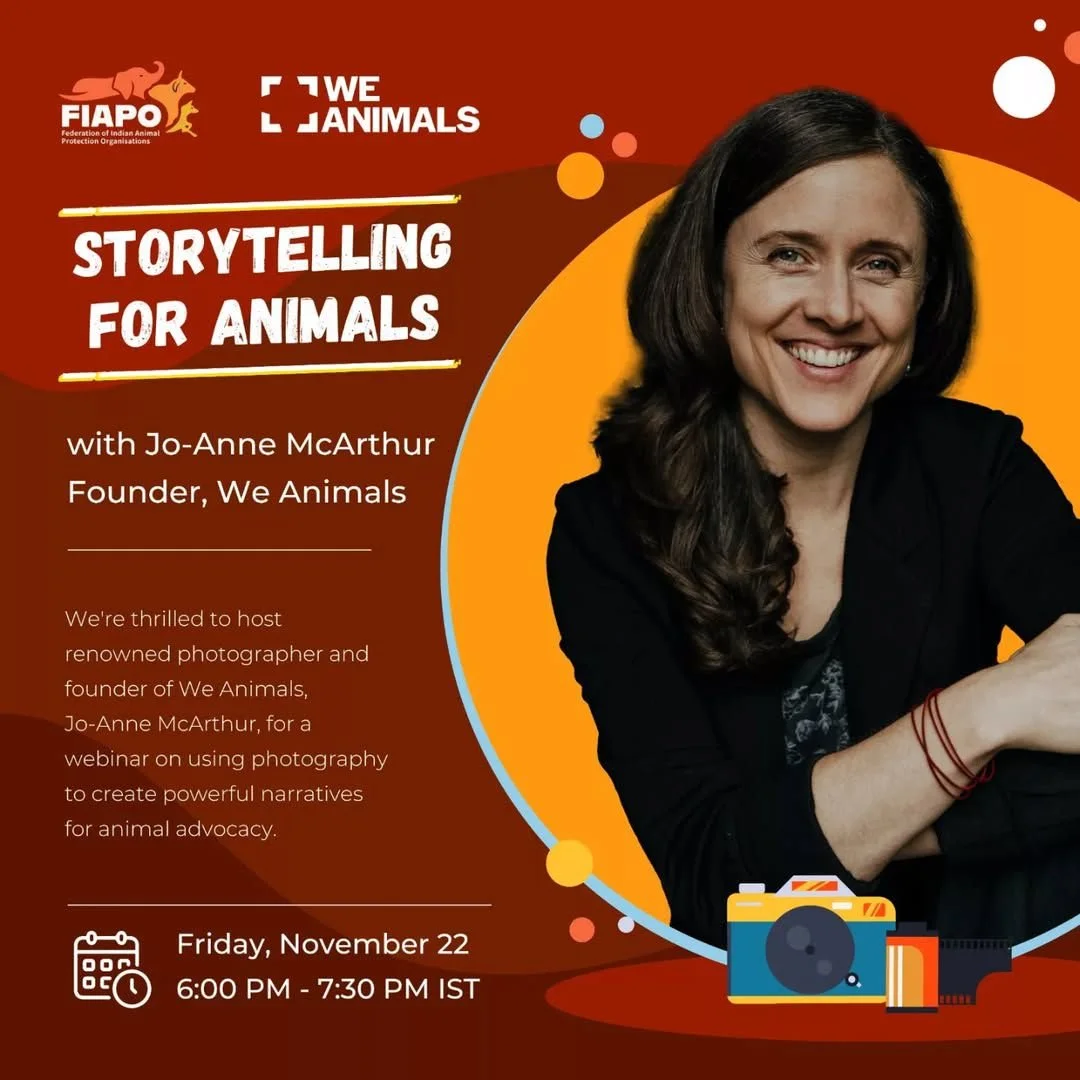 Webinar with Jo-Anne.jpg