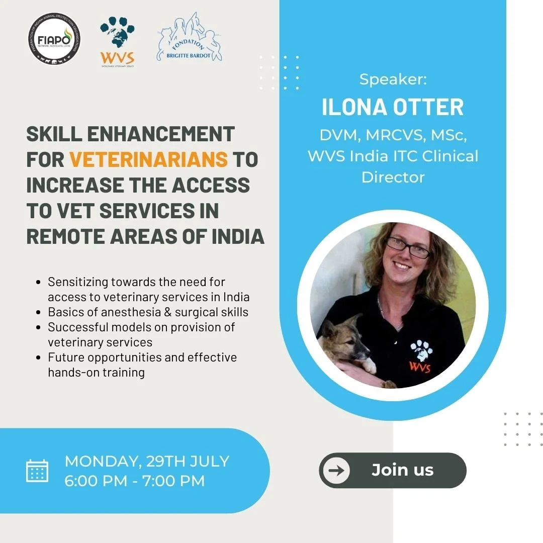 Webinar with Dr Ilona.jpg