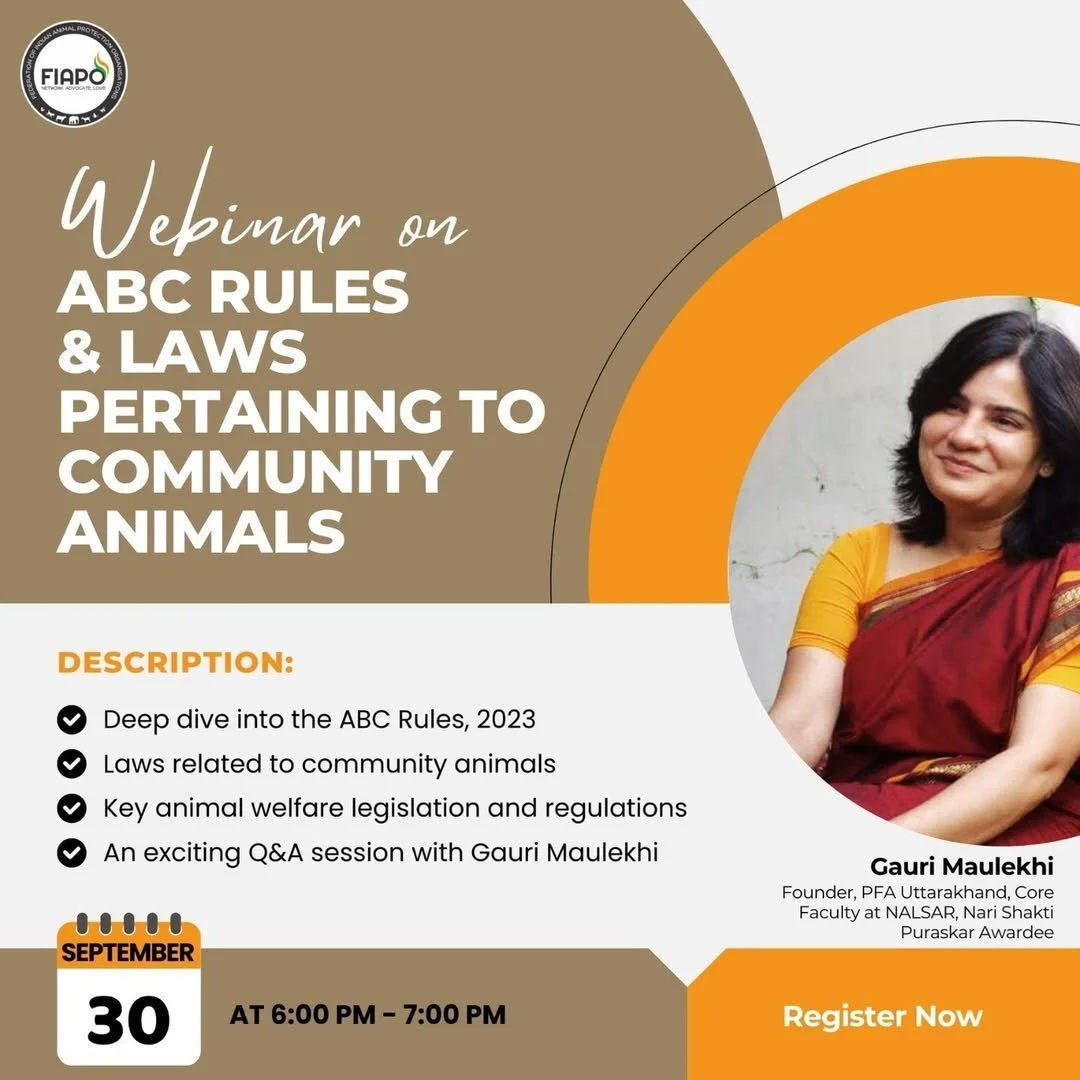 Webinar with Gauri Maulekhi.jpg