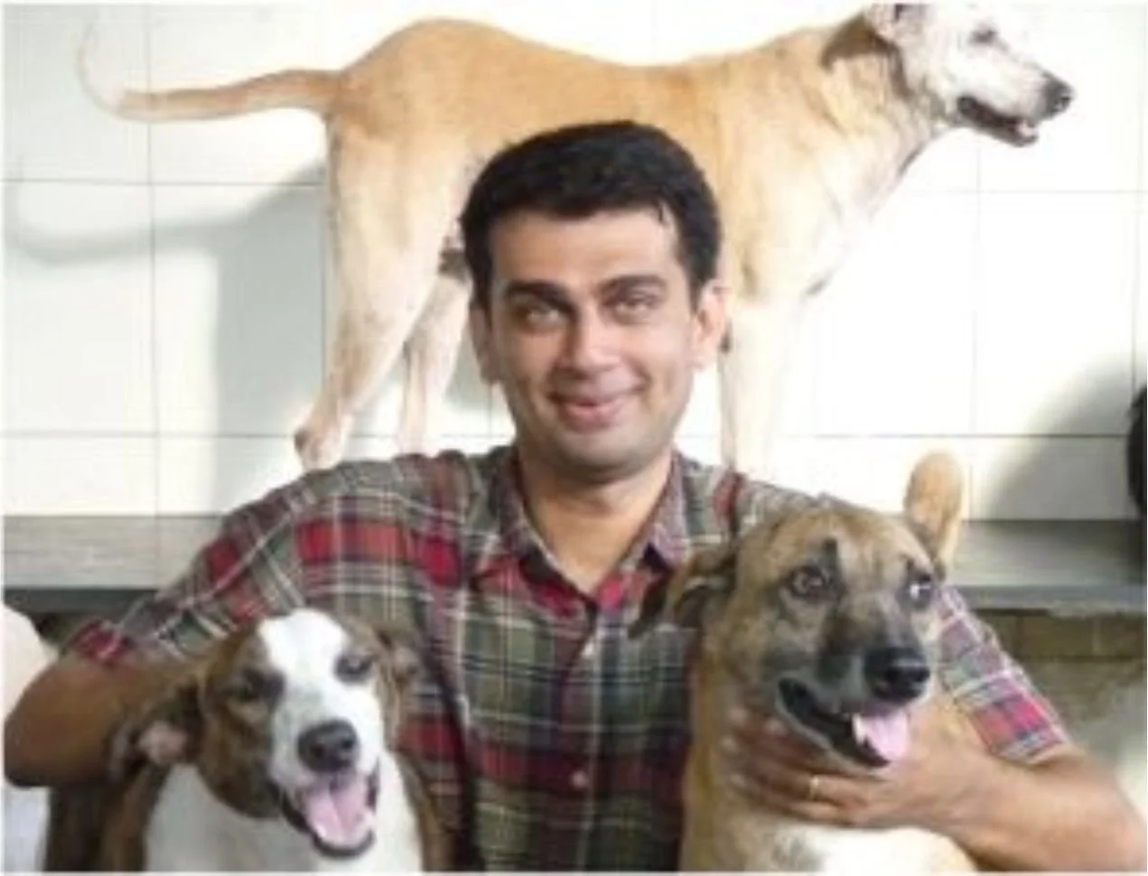 A man with dark hair in a plaid shirt smiling, holding two happy dogs, with a tan and white dog in the background.