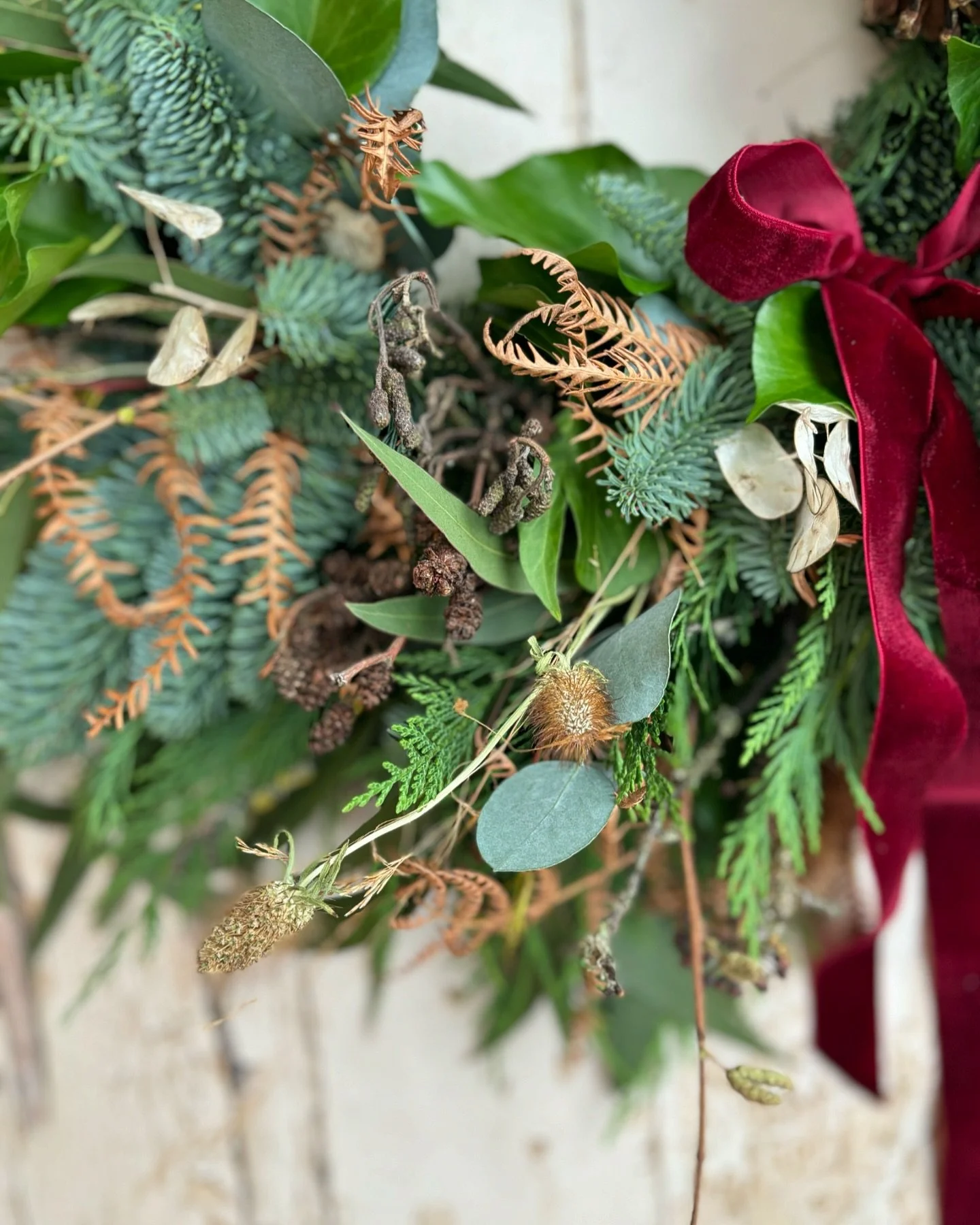The first of many wreaths went out today and the response literally couldn&rsquo;t have been better: &ldquo;I feel like I&rsquo;ve been waiting all my life for a wreath like this&rdquo; 🥹 

I have the *best* customers ☺️

#sustainablefloristry #brit
