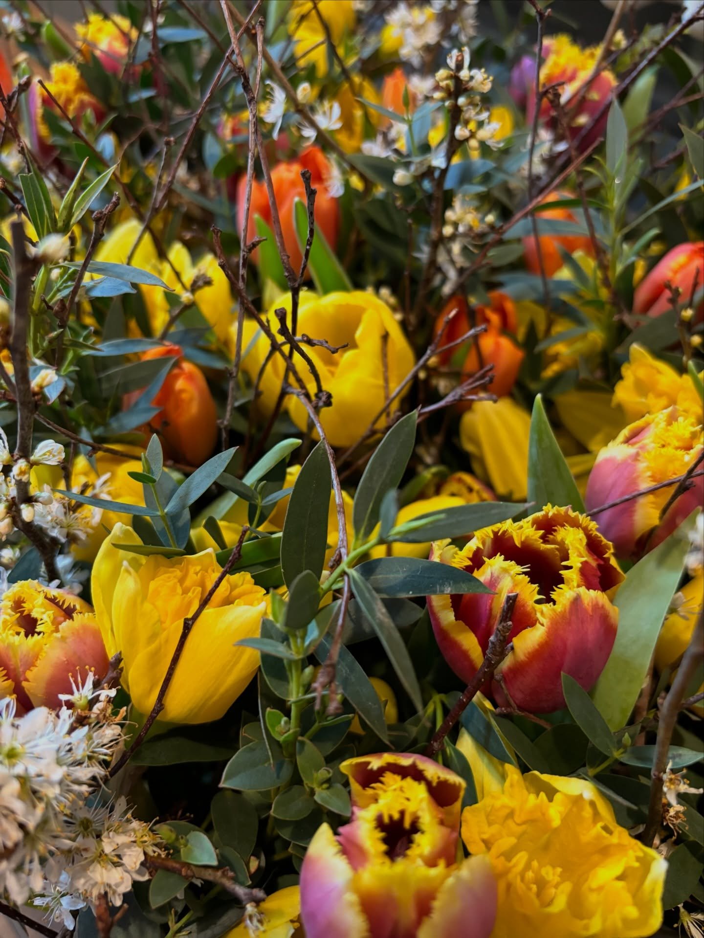 Not wanting to wish away time but on day 8476 of January, a colourful pop of what&rsquo;s-to-come is in order! Spring joy to hopefully brighten your day 🤍

The world feels more than a little heavy right now, with unthinkable things happening across 