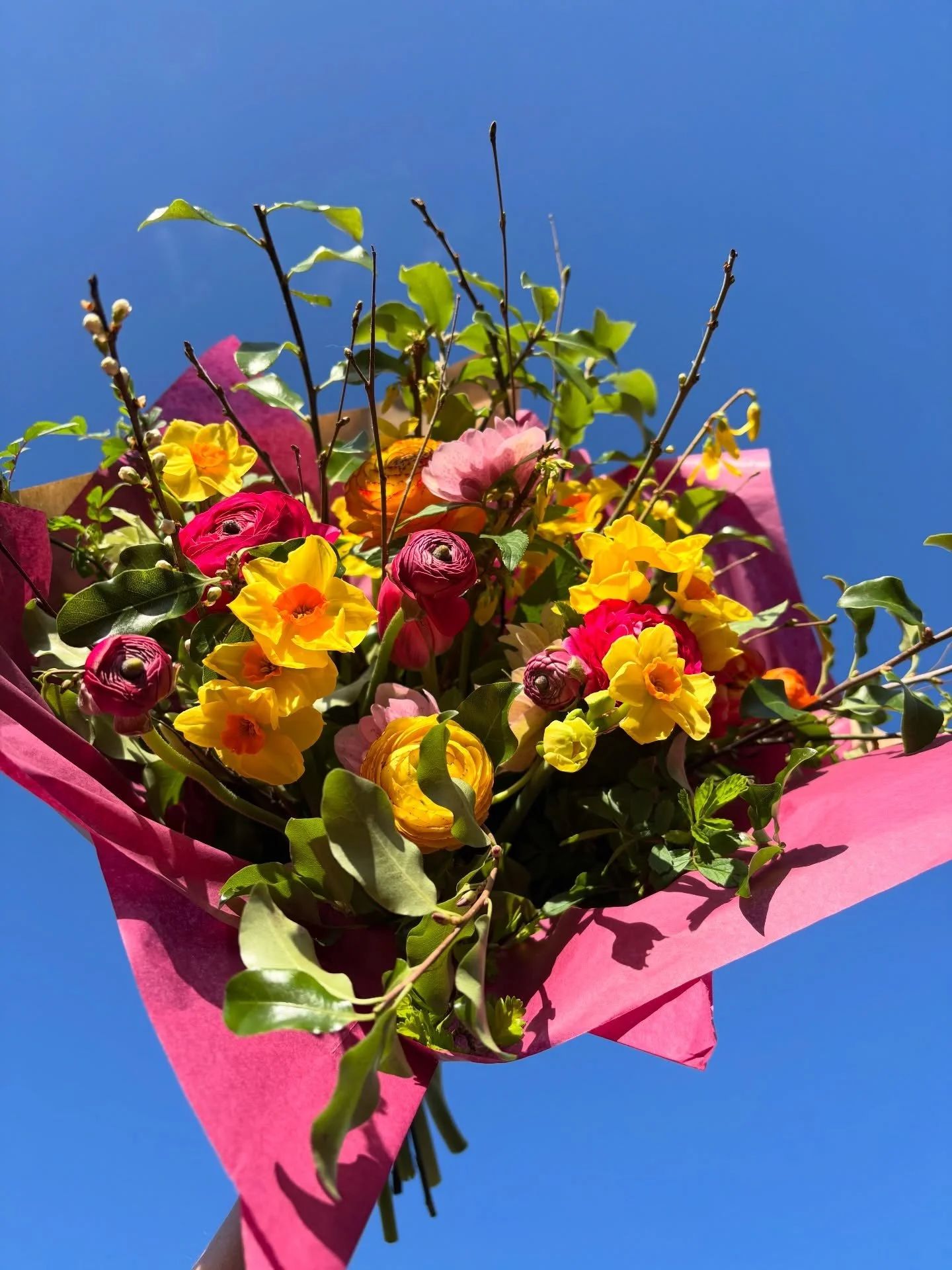 🌸Mother&rsquo;s Day 2026!🌸

Phew! That was a record one! THANK YOU for keeping me so busy and for choosing sustainable, seasonal and British-grown. Not an air mile, pesticide, scrap of plastic or unethically treated worker in sight!

The pre orders