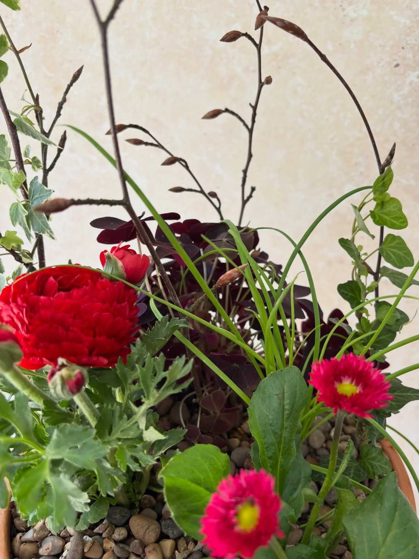 Lovely to be back at @wspukandi to host a spring/summer planter workshop. We used a variety of British-grown plants for texture, colour and scent, with many being edible. A brilliantly mindful way to end the working day and to decompress.

Do get in 