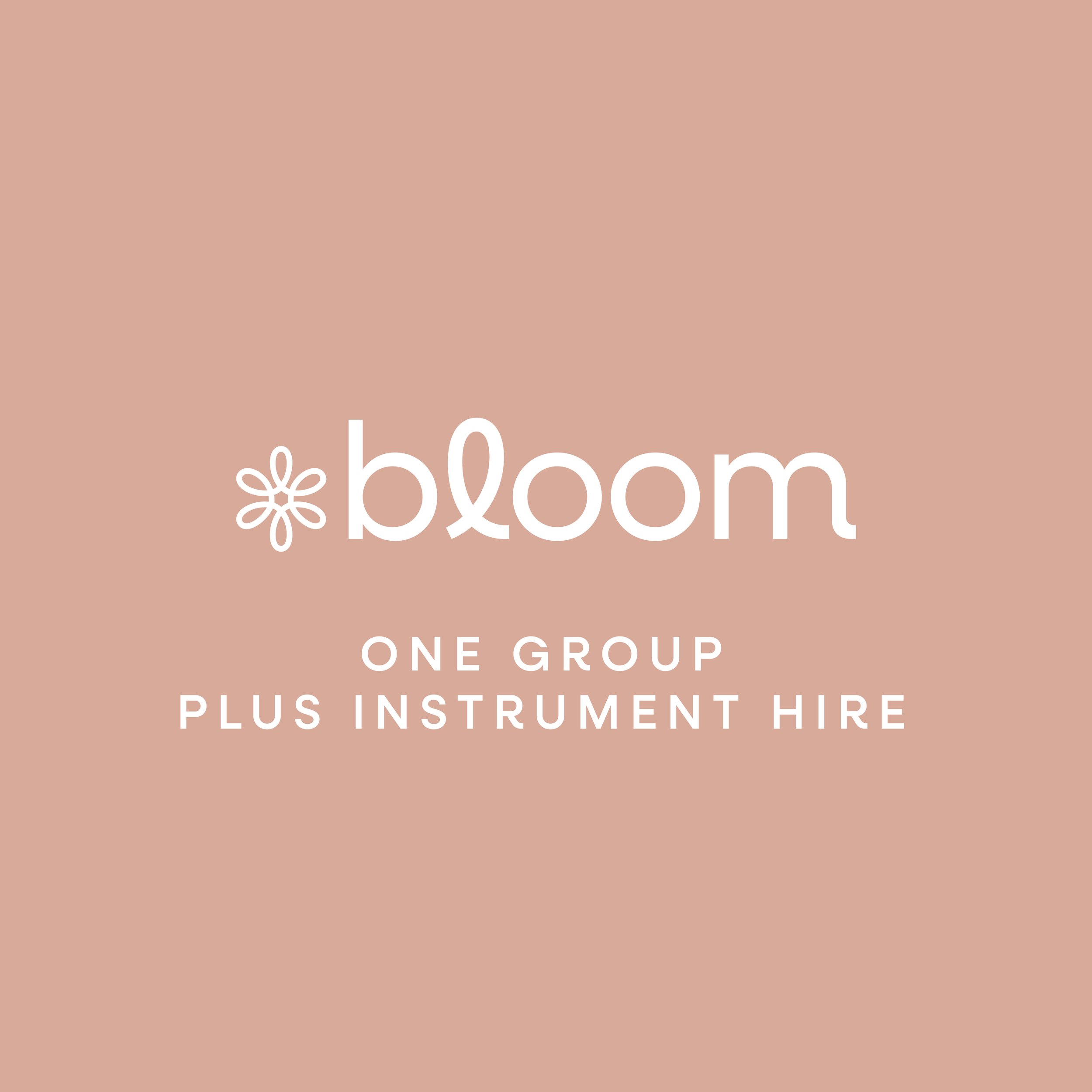 Bloom-One-Group-Ins-Hire.jpg