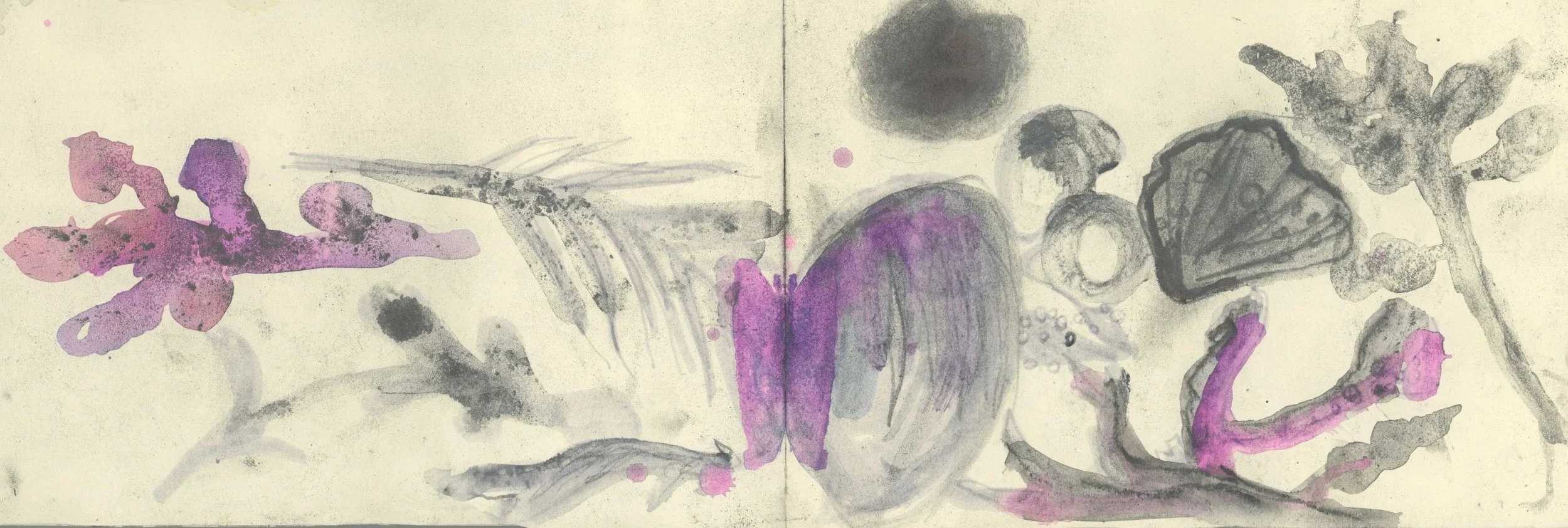 rockpool-study.jpg
