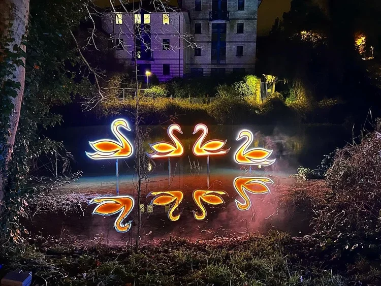 Festive: Colour Changing LED Swans - £95 + VAT each