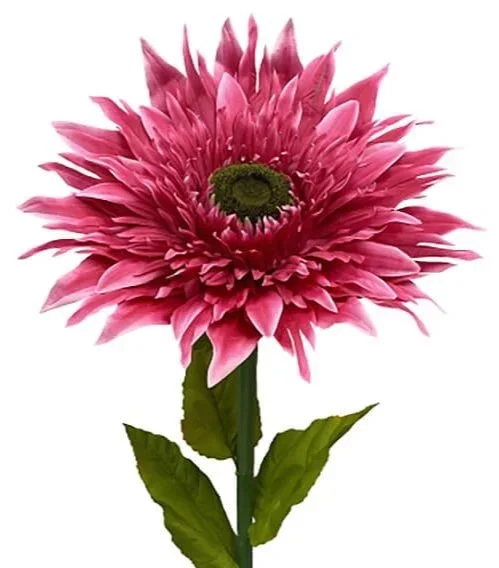 Enchanted Garden: Selection of giant Flowers - £15 + VAT each