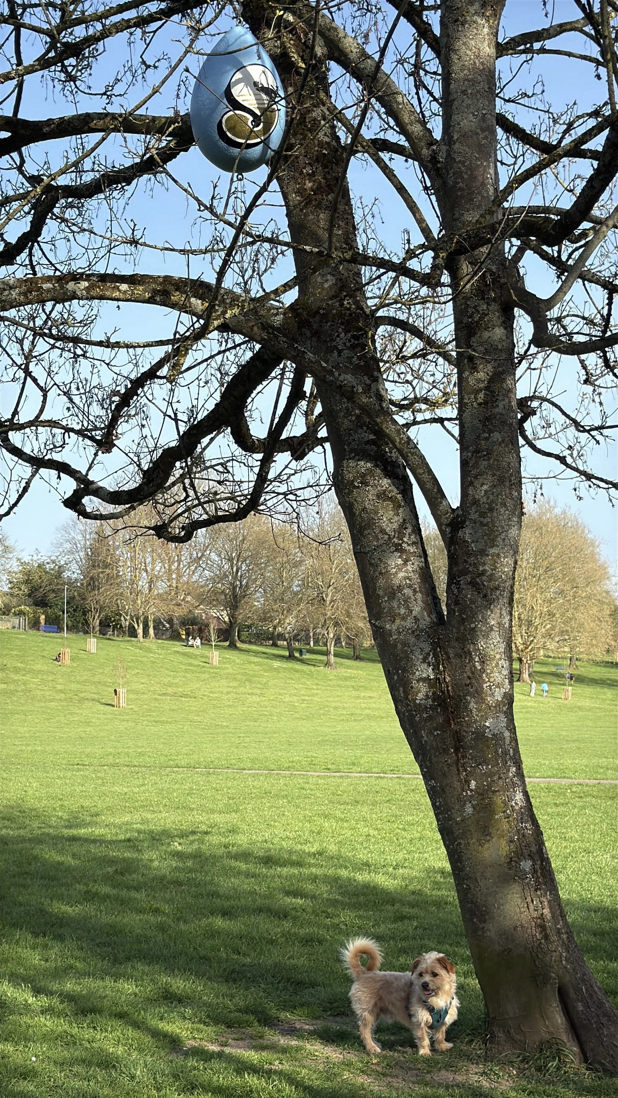 Easter Egg Trail Production 