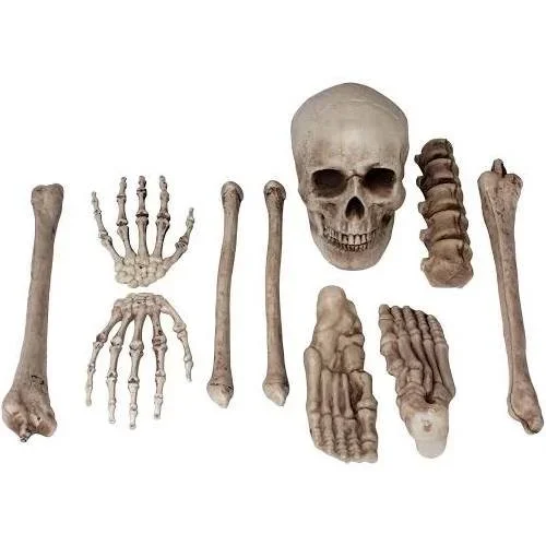 Halloween: Bag of Bones - £45 + VAT