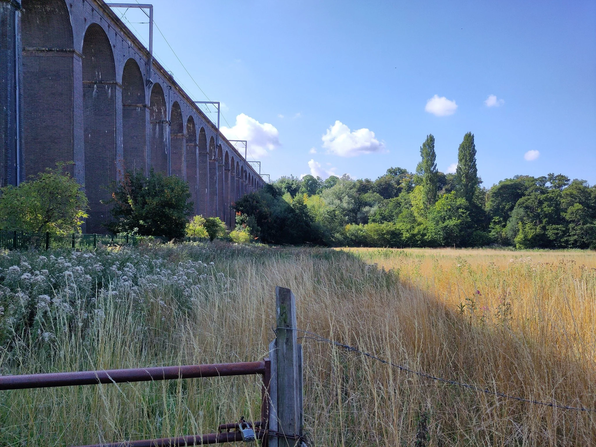 Viaduct Shadow