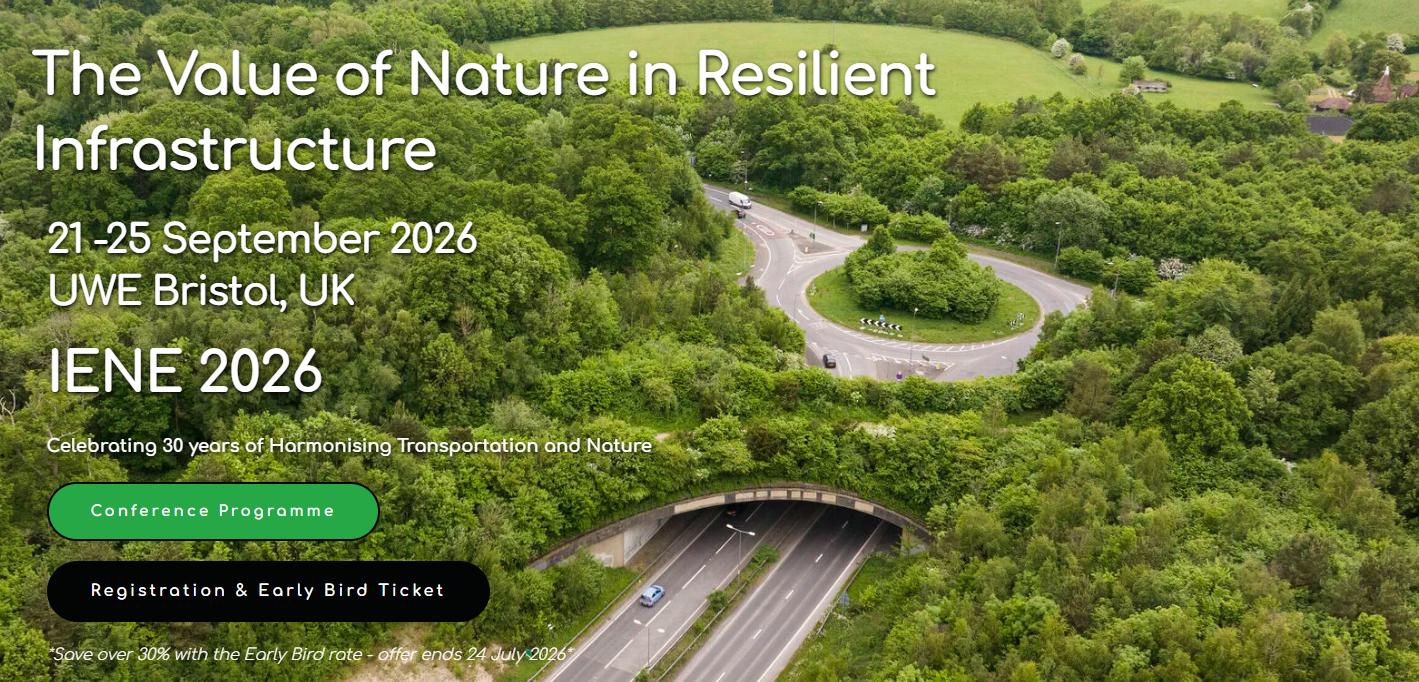 The Value of Nature in Resilient Infrastructure