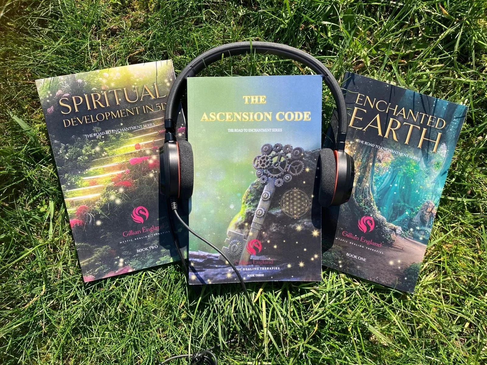 A BUNDLE  from Gillian England (UK only)