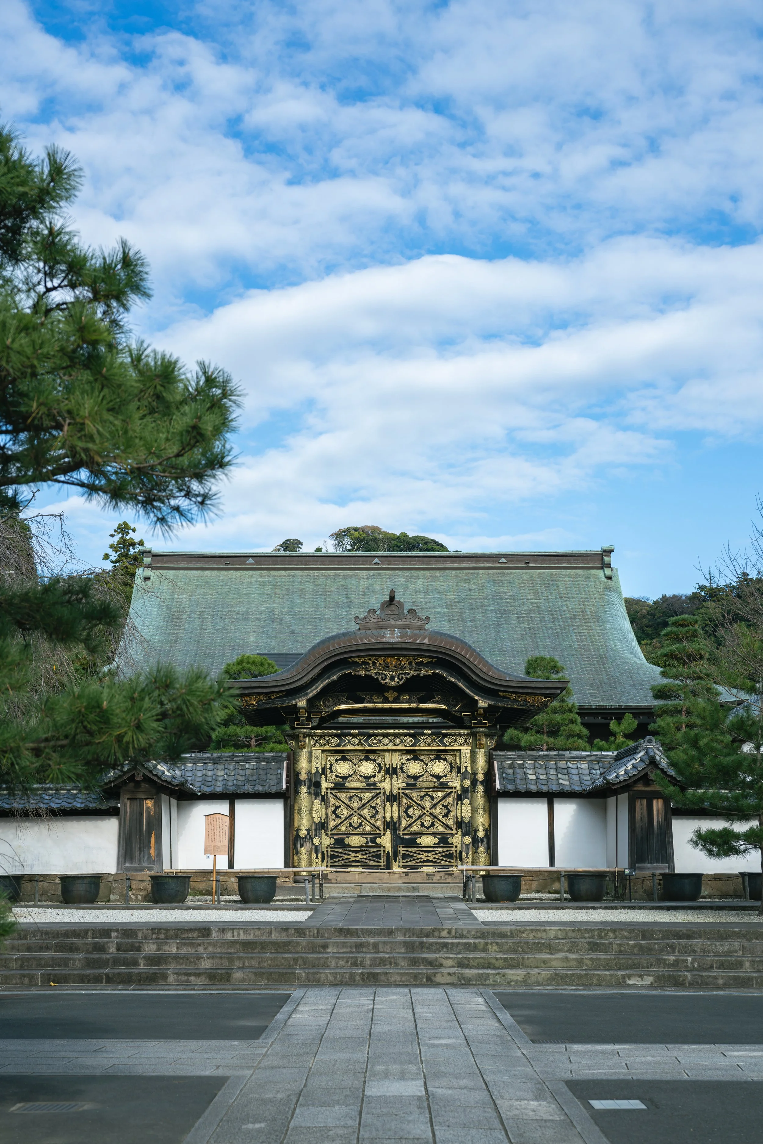 AAA02166.jpg