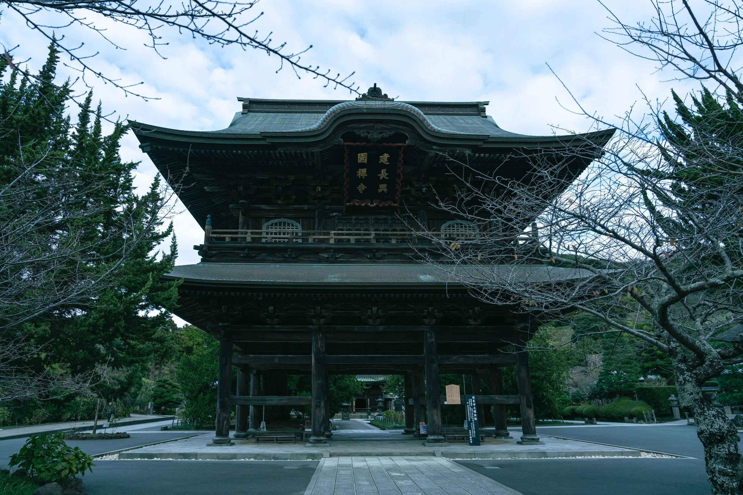AAA02309.jpg