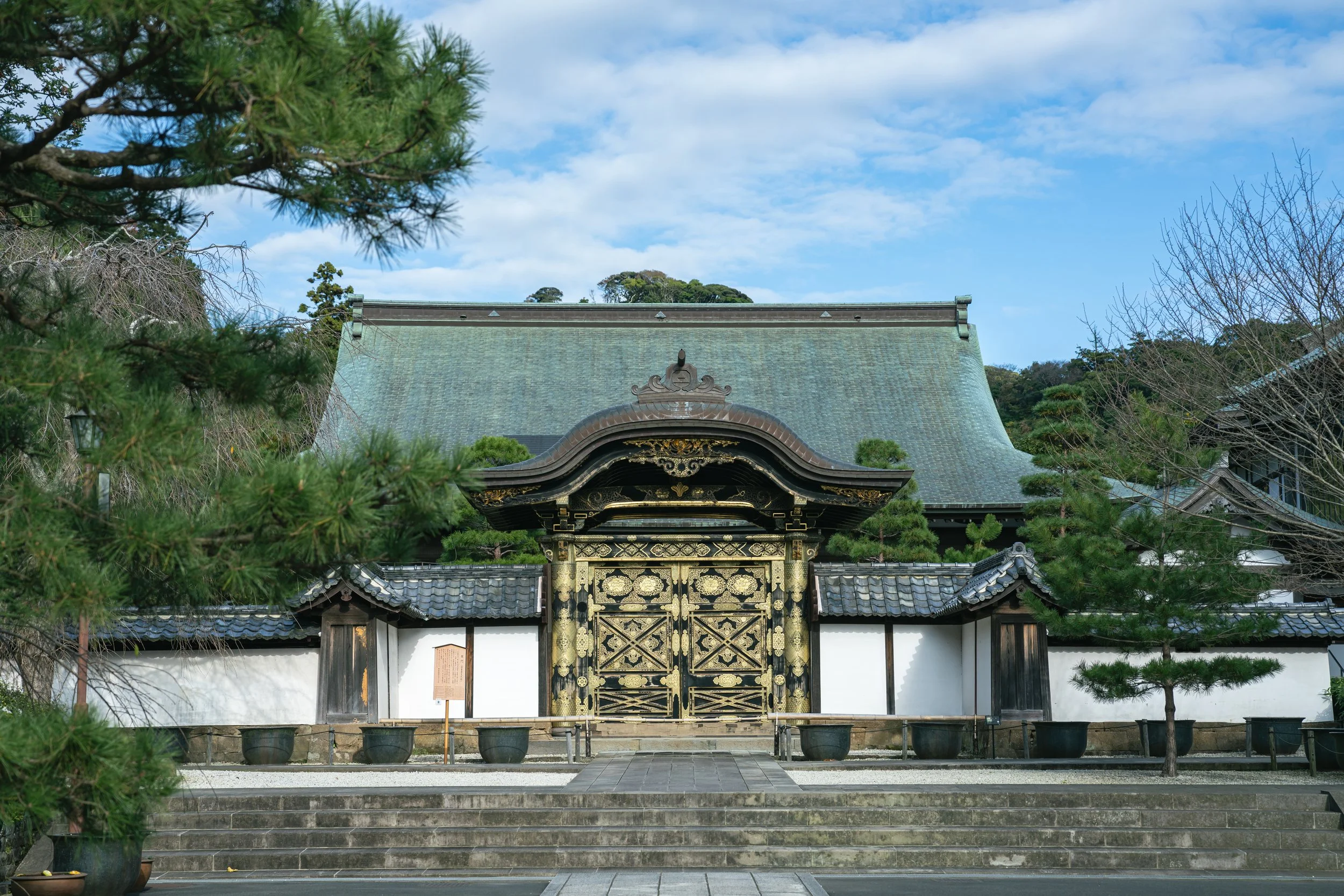 AAA02168.jpg