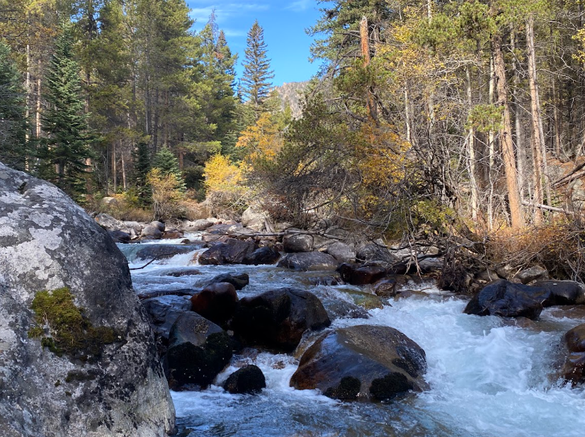 white water rolls over rocks while overlooking trees turn bright yellow