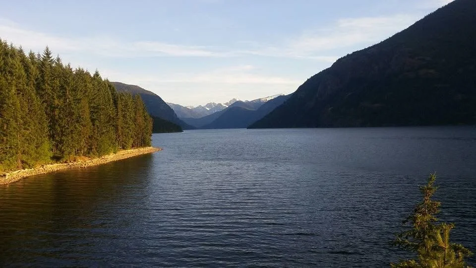 a serene lake with a shoreline of forest on the left and mountains on the right