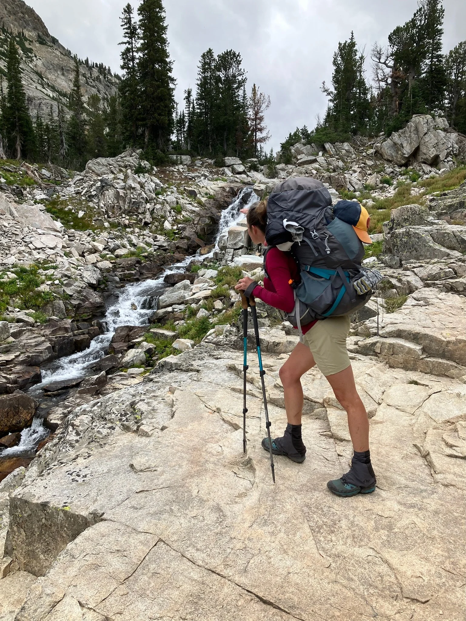 Sprite looking at Cascades in Tetons.JPG