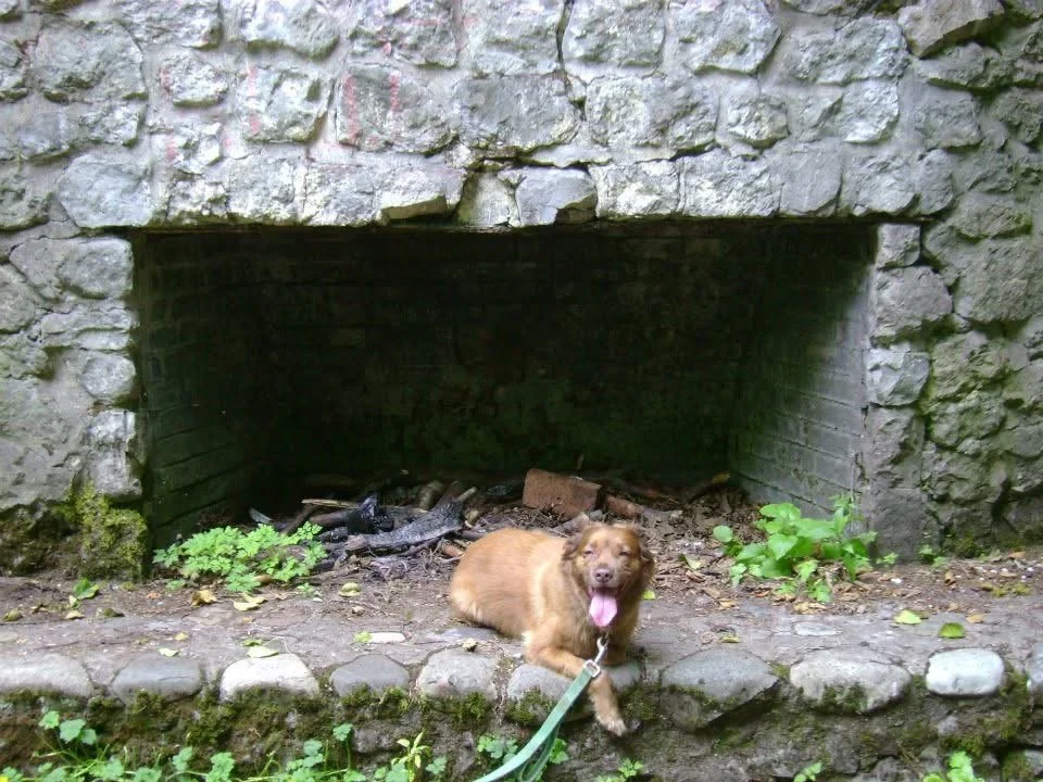 issy alps quiz results