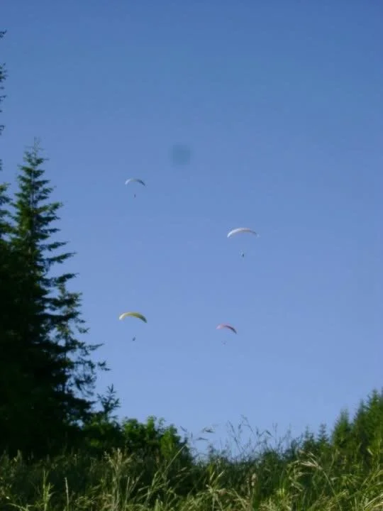four paragliders in the bright blue sky
