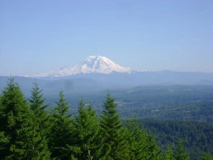 view of conical shaped white capped Mount Tahoma beyond evergreen trees