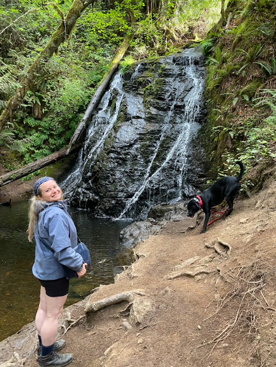 Screenshot 2026-01-11 162724.png