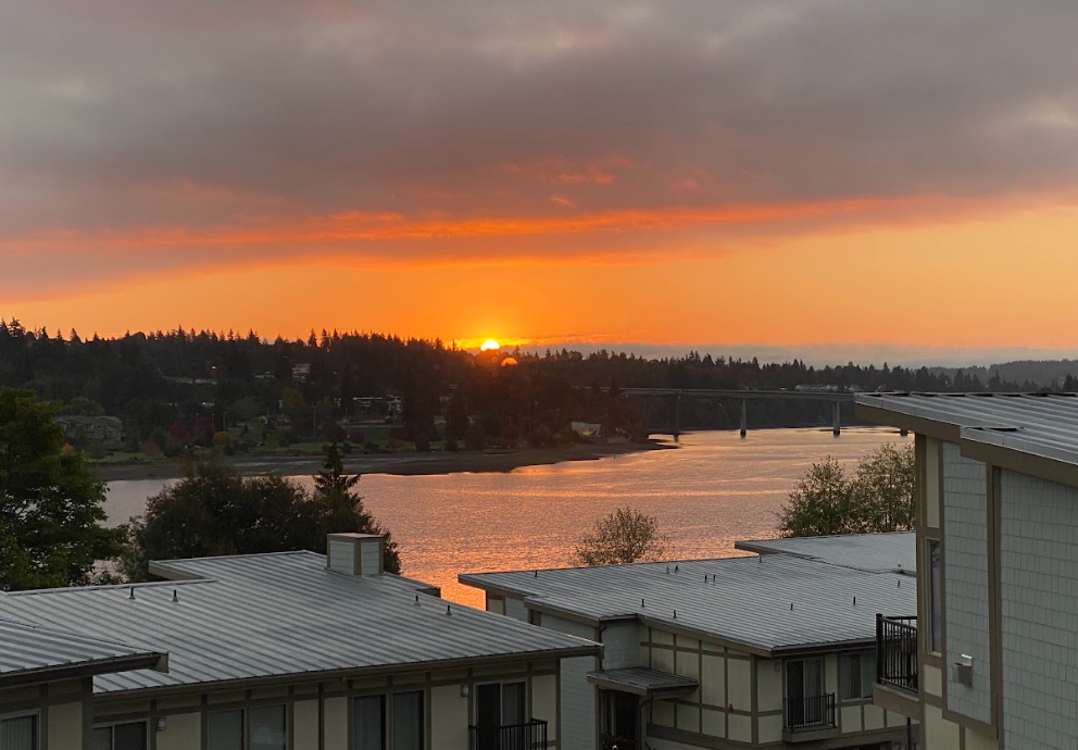 golden sunset with pink hues above a bridge and water reflecting the colors