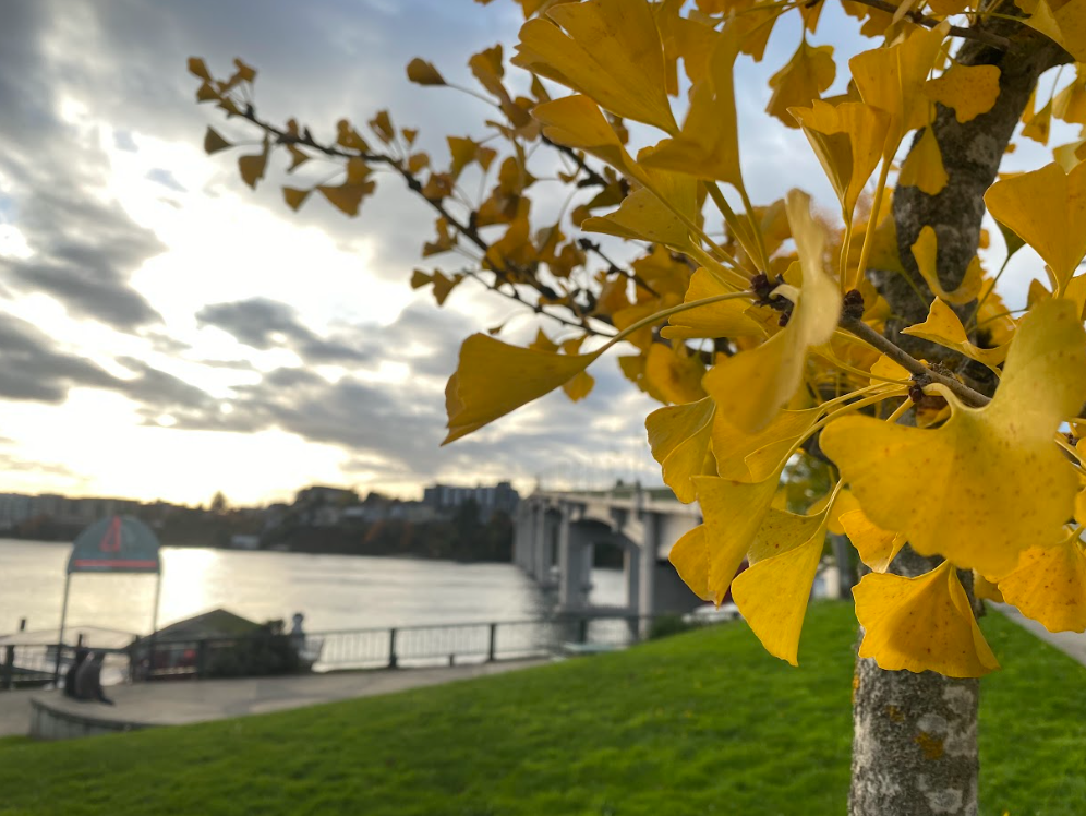 Screenshot 2026-01-11 201511.png