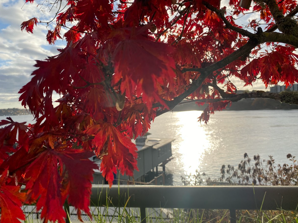 Screenshot 2026-01-11 201424.png