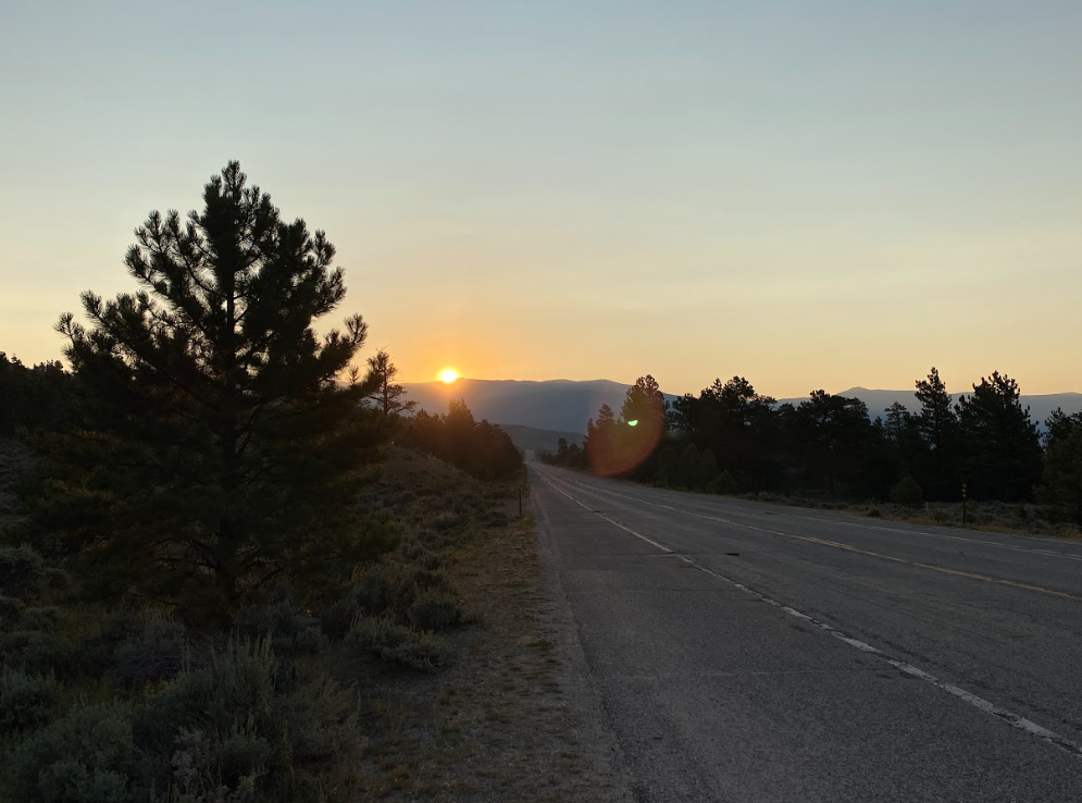 pine tree on left next to a road with the sun rising over a mountain range