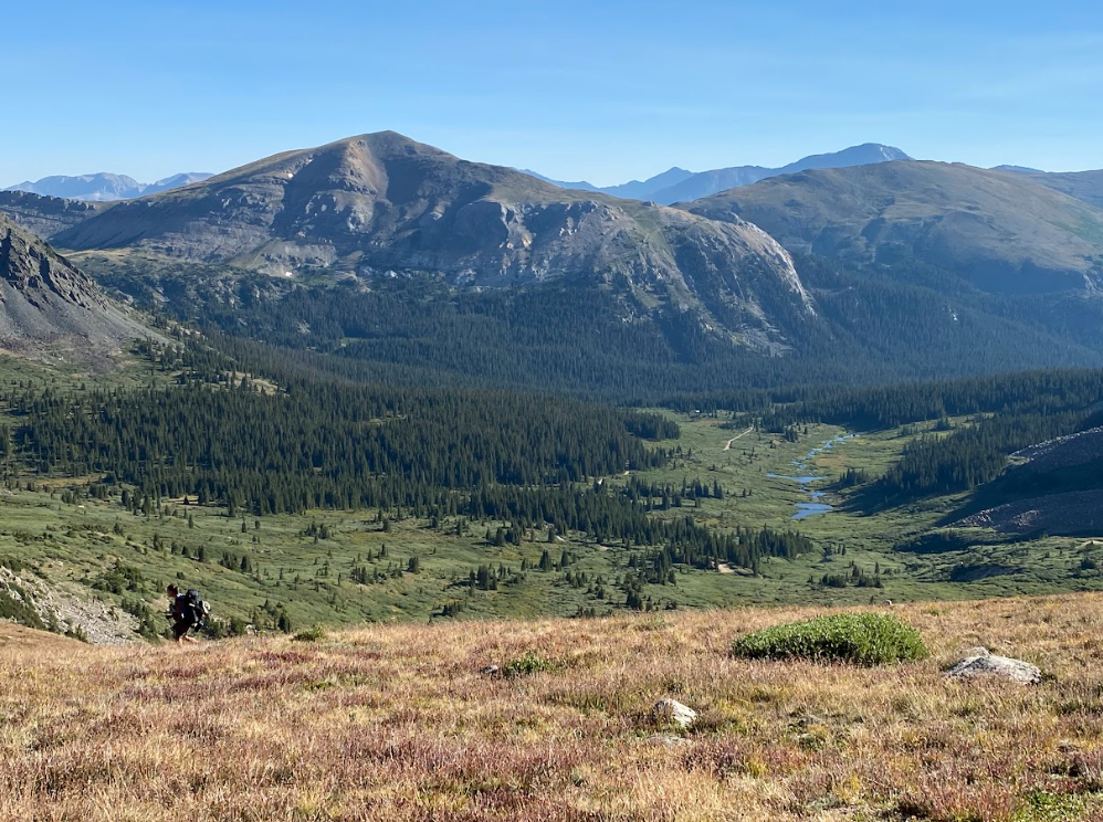 Screenshot 2026-01-13 095051.png