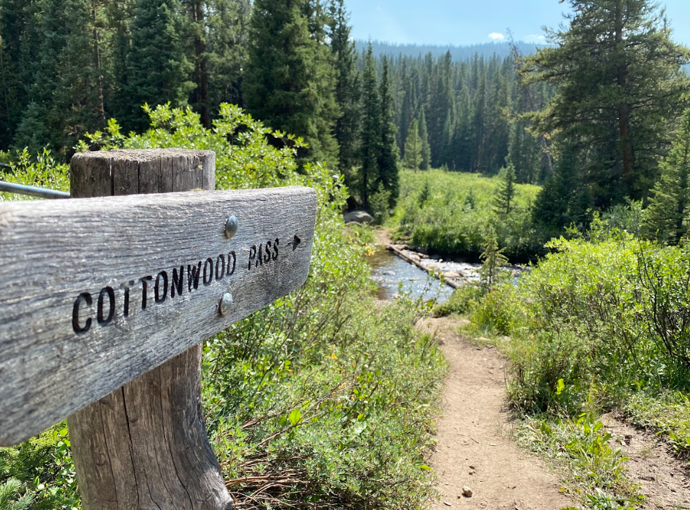 Screenshot 2026-01-13 094936.png