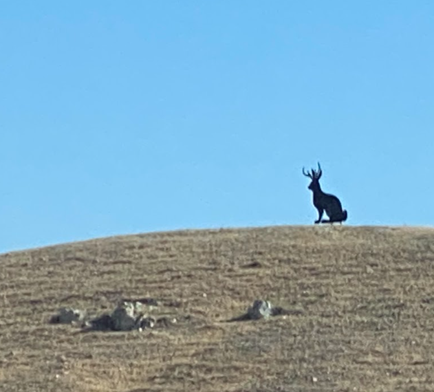 jackelope shaped cutout on top of a hillside